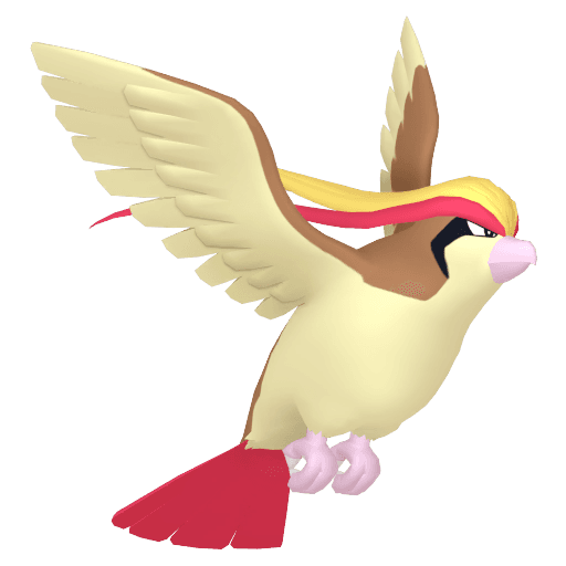 pidgeot